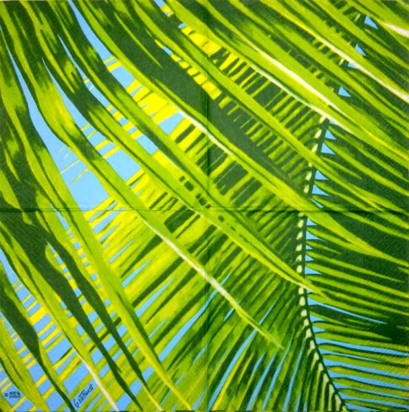 001 Pflanzen - 3 lagig - Molca